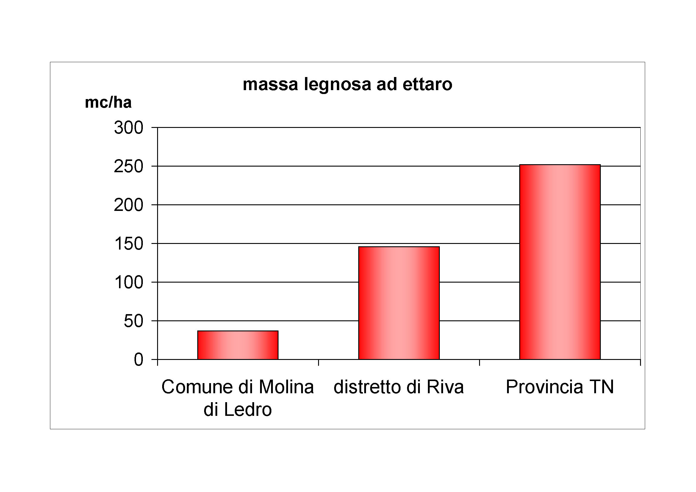 Massa legnosa ad ettaro